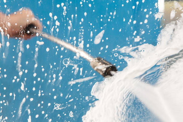Best Animal Enclosure Cleaning  in Tiger Point, FL